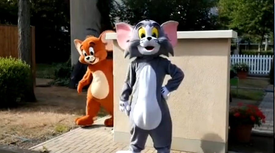 Video Vorschau