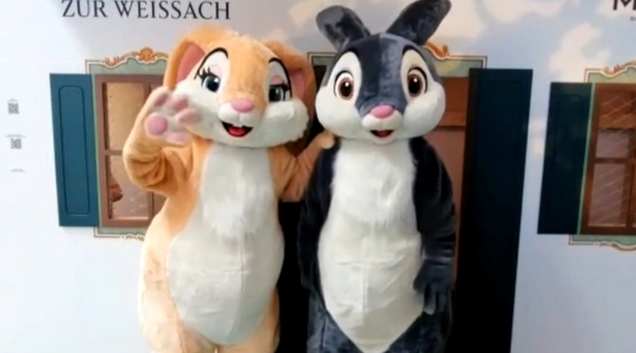 Video Vorschau